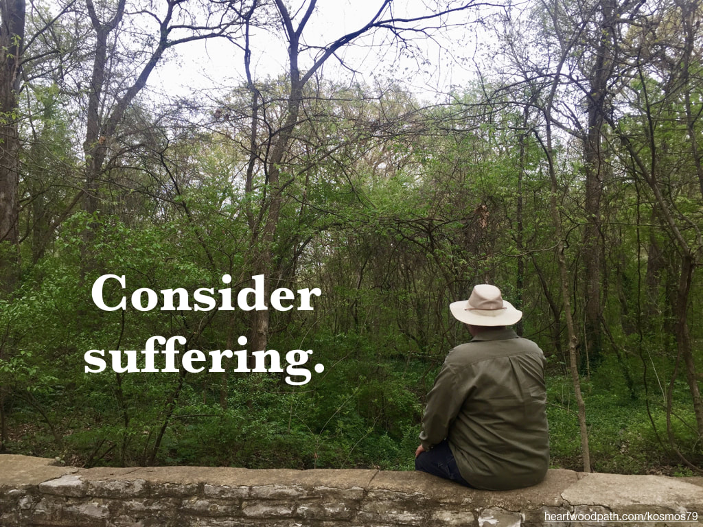 picture-life-coach-don-pierce-saying-Consider suffering