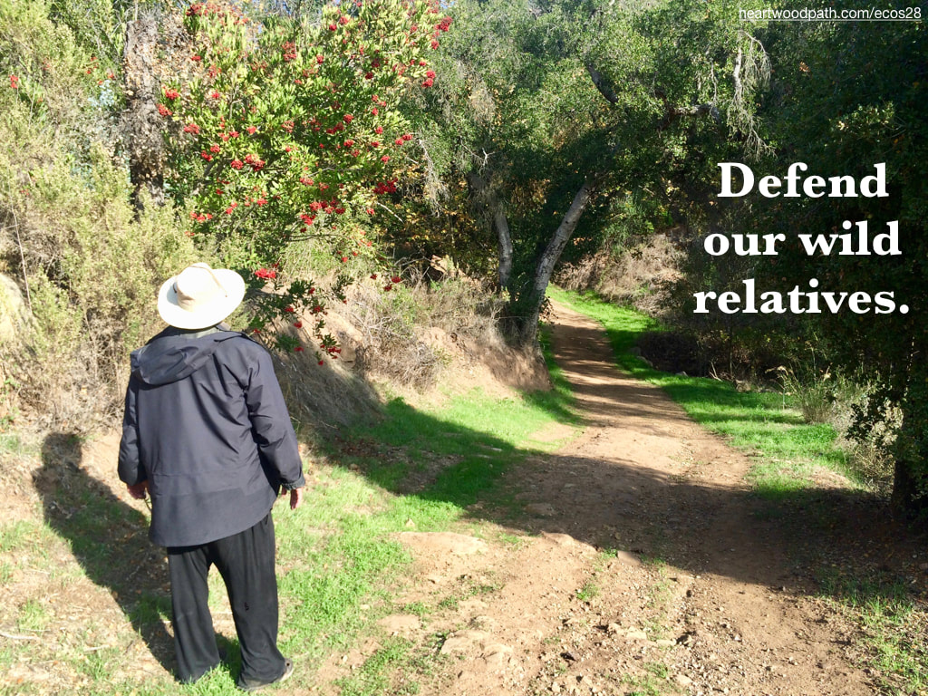 picture-don-pierce-life-coach-saying-Defend our wild relatives