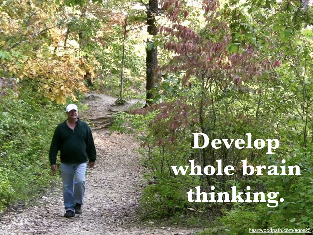 picture-life-coach-don-pierce-saying-Develop whole brain thinking