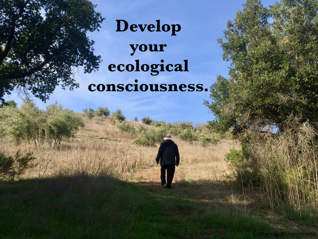picture-don-pierce-life-coach-saying-Develop your ecological consciousness