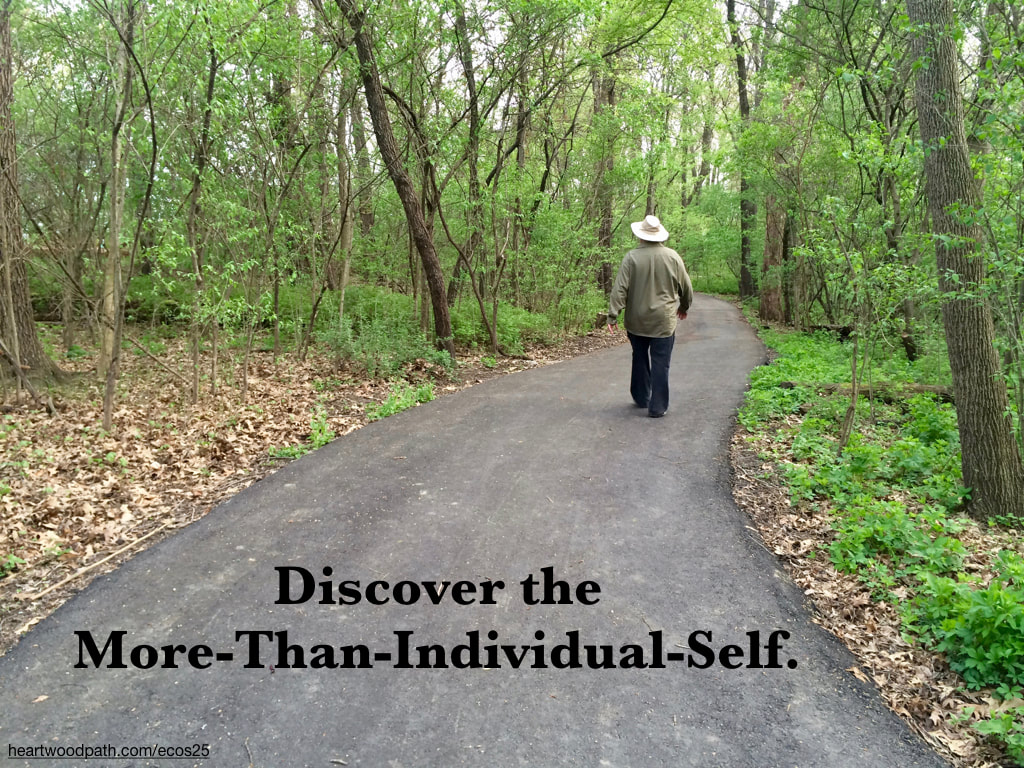 picture-don-pierce-life-coach-saying-Discover the More-Than-Individual-Self.