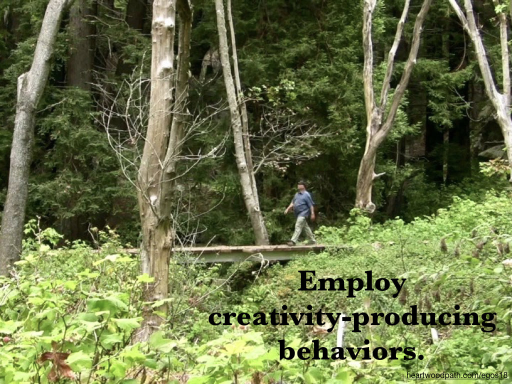 picture-life-coach-don-pierce-saying-Employ creativity-producing behaviors