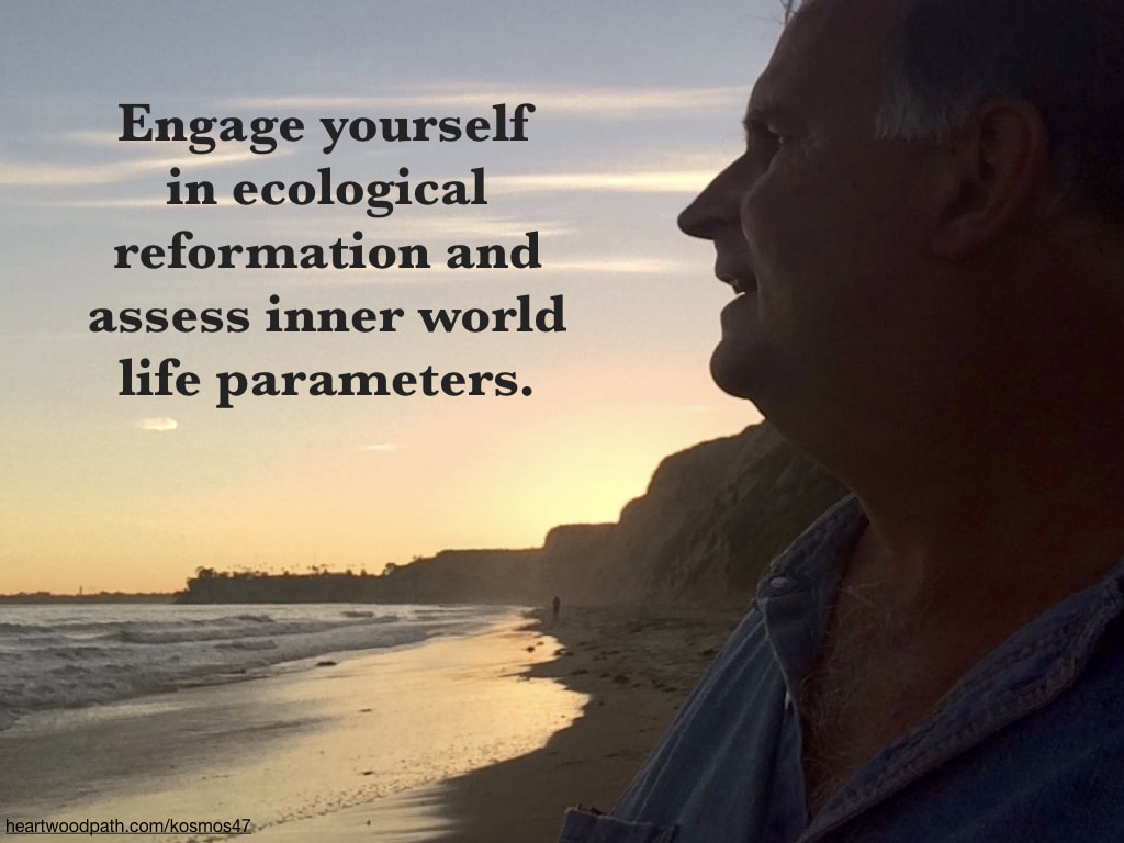 picture-of-life-coach-don-pierce-saying-Engage yourself in ecological reformation and assess inner world life parameters