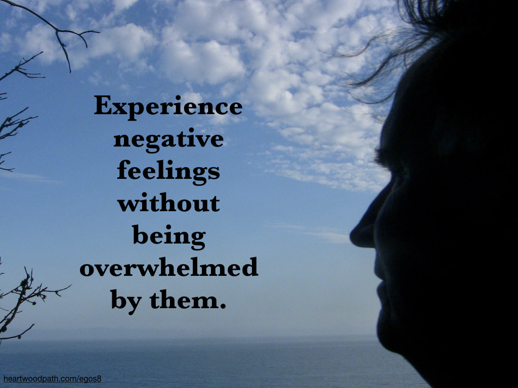 picture-life-coach-don-pierce-saying-Experience negative feelings without being overwhelmed by them