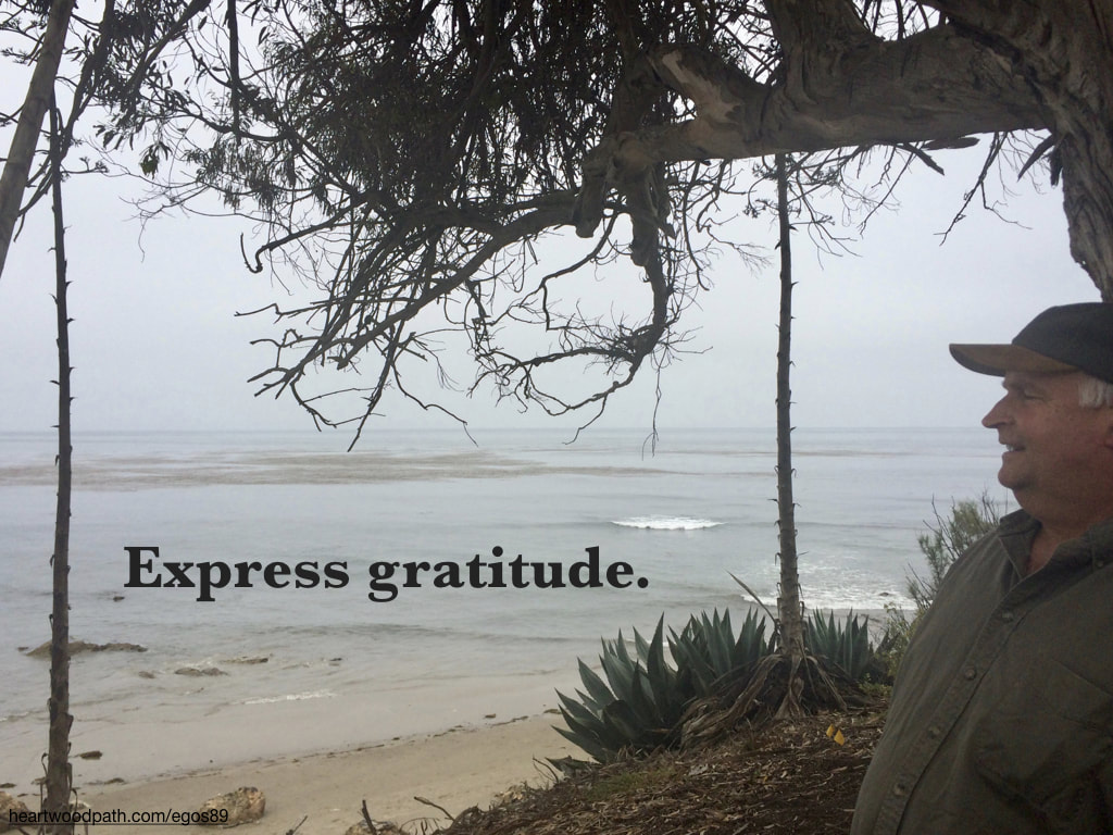 picture-don-pierce-life-coach-saying-Express gratitude