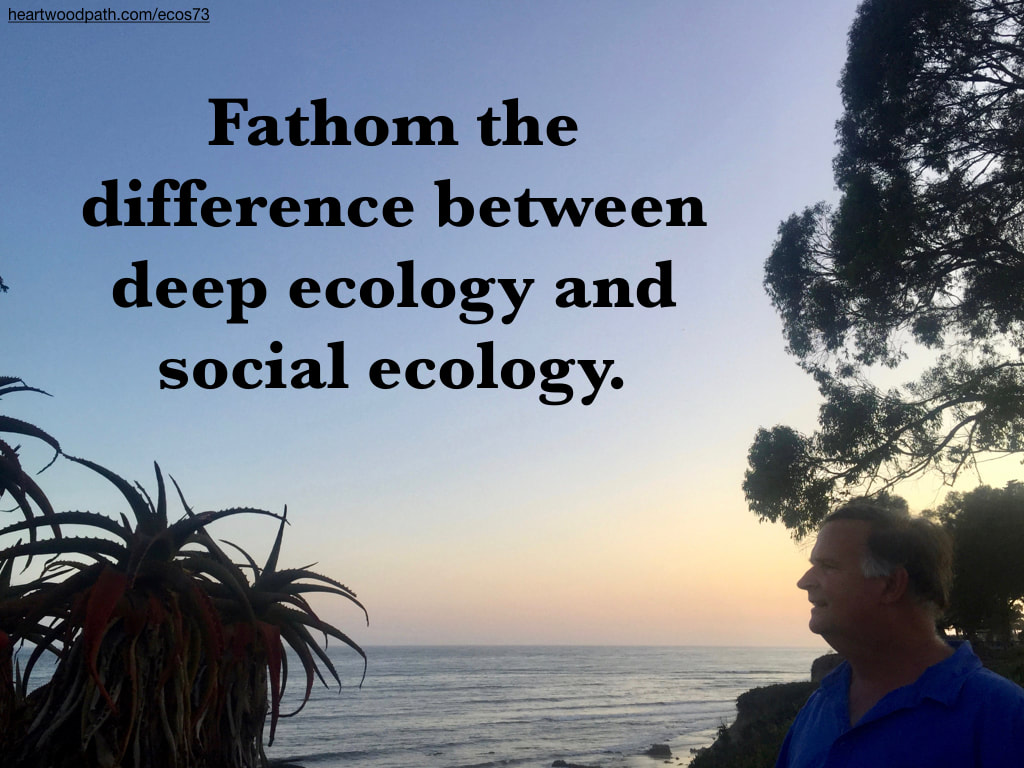 picture-don-pierce-life-coach-saying-Fathom the difference between deep ecology and social ecology