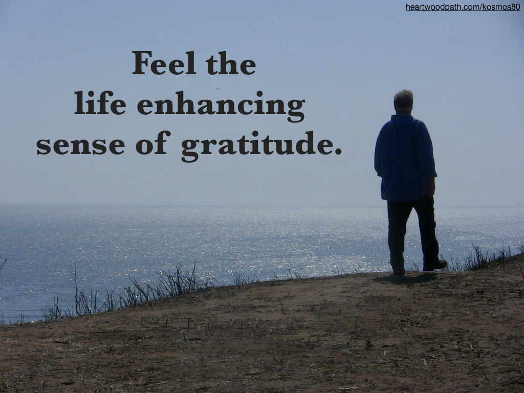 picture-life-coach-don-pierce-saying-Feel the life enhancing sense of gratitude