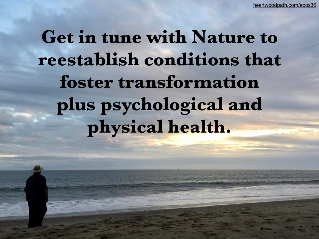picture-don-pierce-life-coach-saying-Get in tune with Nature to reestablish conditions that foster transformation plus psychological and physical health.