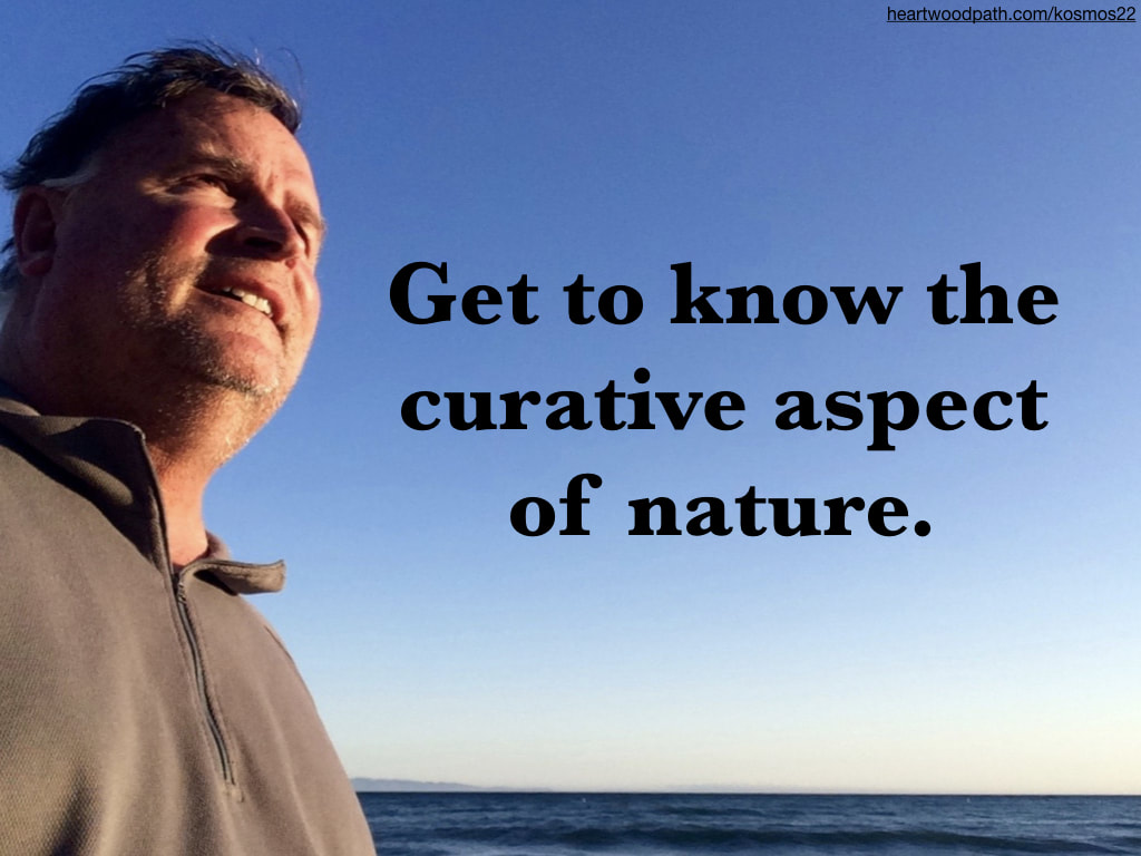 picture-of-life-coach-don-pierce-saying-Get to know the curative aspect of nature