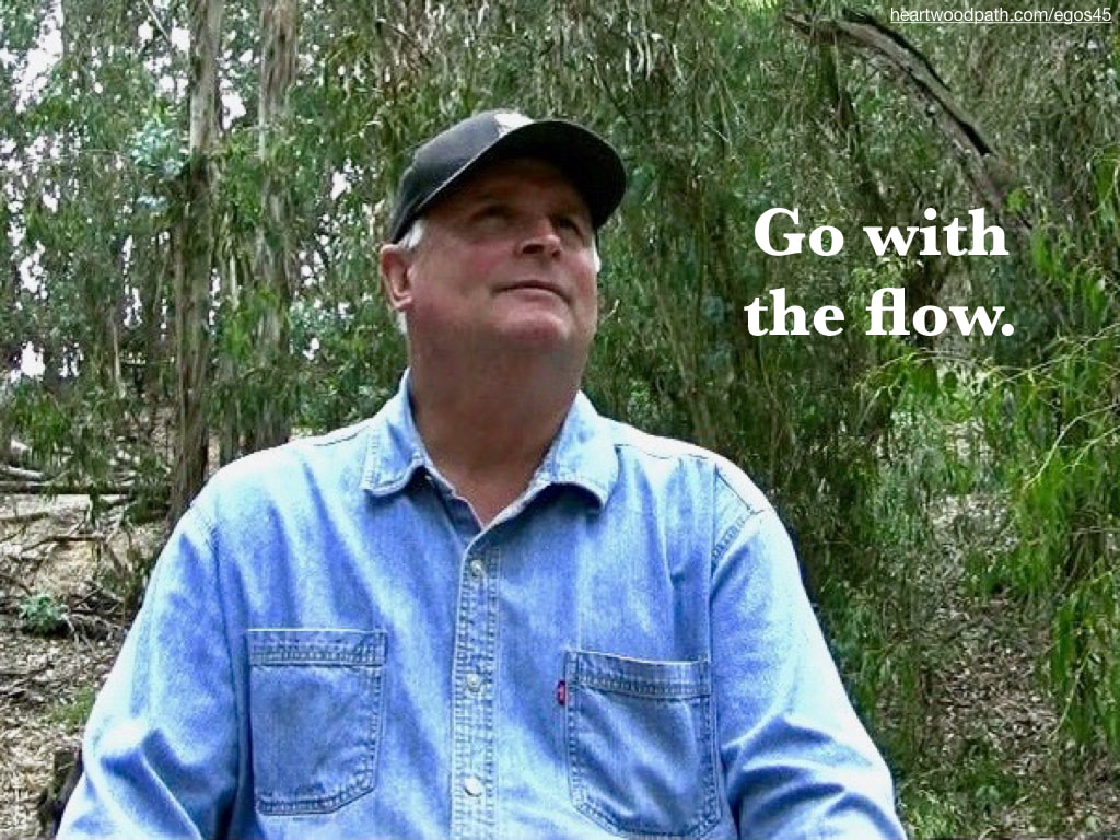 picture-life-coach-don-pierce-saying-Go with the flow