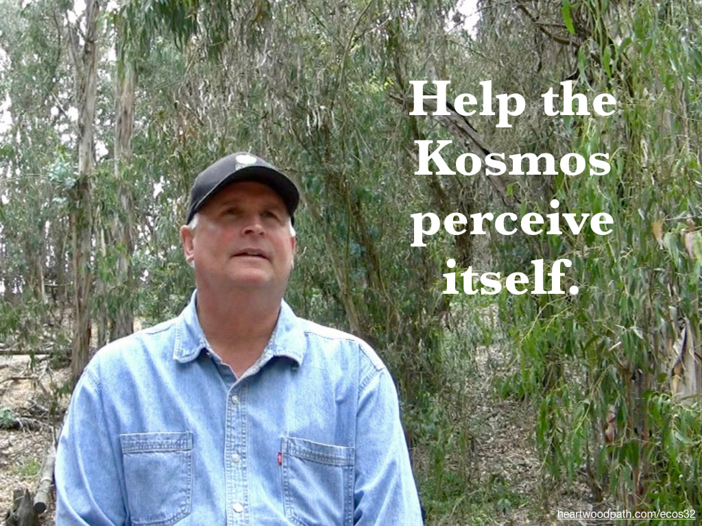 picture-don-pierce-life-coach-saying-Help the Kosmos perceive itself