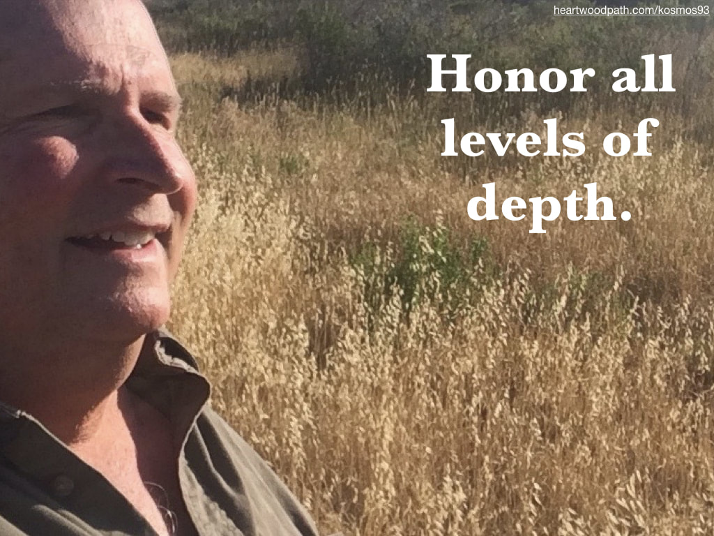 picture-life-coach-don-pierce-saying-Honor all levels of depth