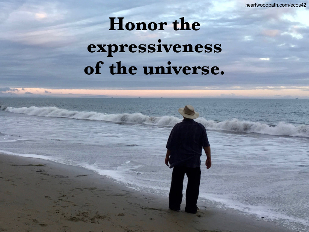 picture-don-pierce-life-coach-saying-Honor the expressiveness of the universe