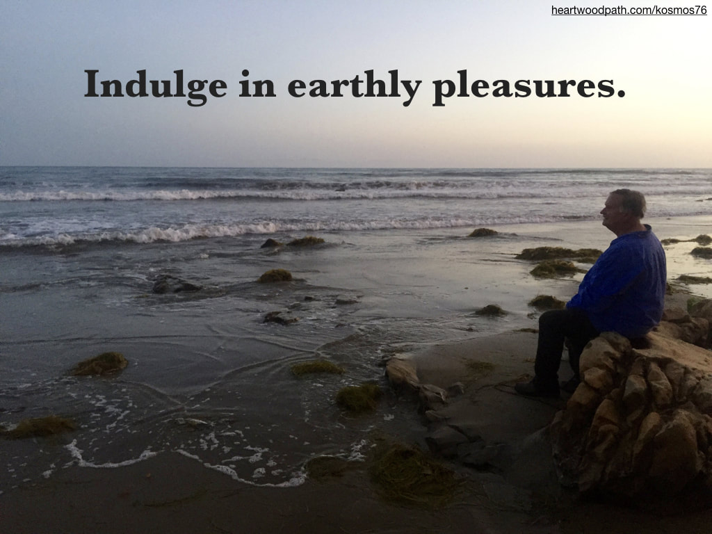 picture-life-coach-don-pierce-saying-Indulge in earthly pleasures