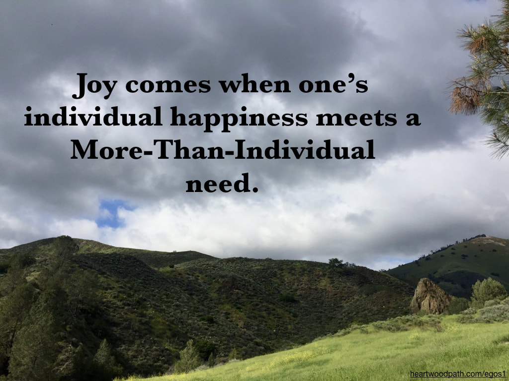 picture-storm cloud-words-Joy comes when one’s individual happiness meets a More-Than-Individual need