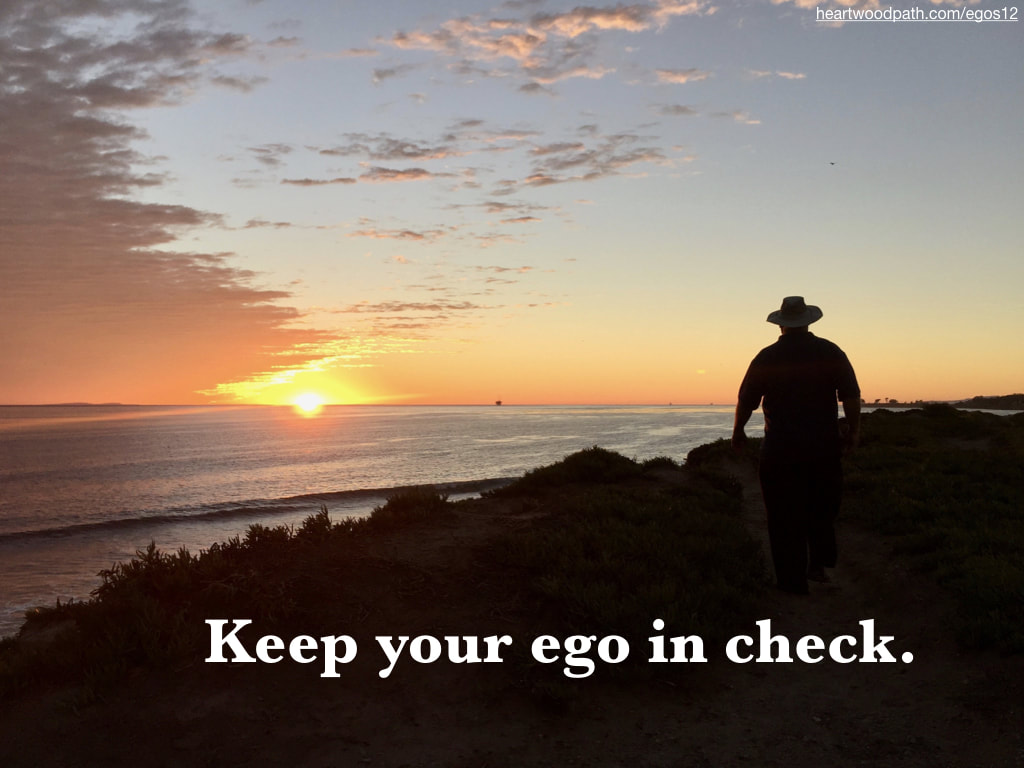 picture-life-coach-don-pierce-saying-Keep your ego in check