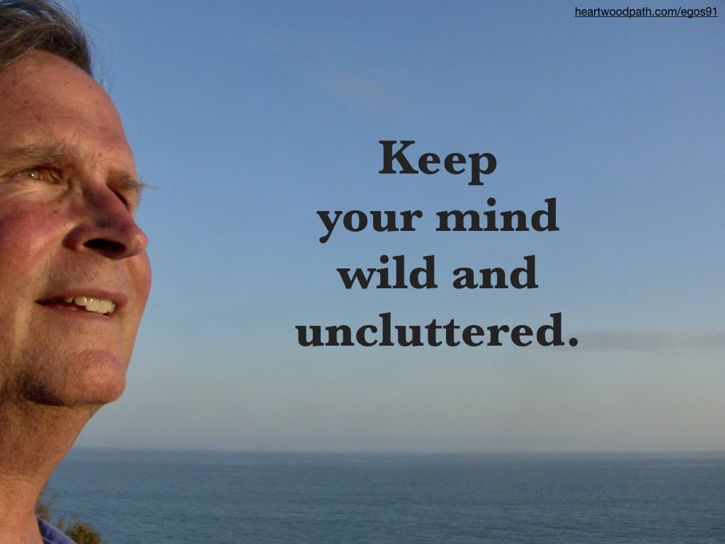 picture-don-pierce-life-coach-saying-Keep your mind wild and uncluttered.