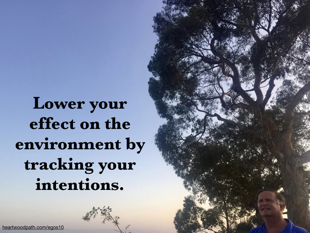 picture-life-coach-don-pierce-saying-Lower your effect on the environment by tracking your intentions