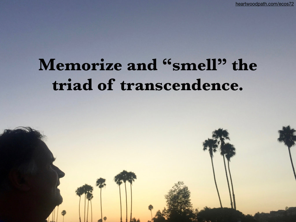 picture-don-pierce-life-coach-saying-Memorize and “smell” the triad of transcendence