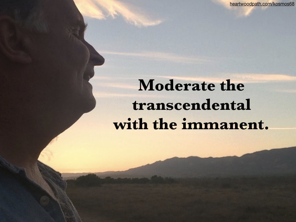 picture-of-life-coach-don-pierce-saying-Moderate the transcendental with the immanent