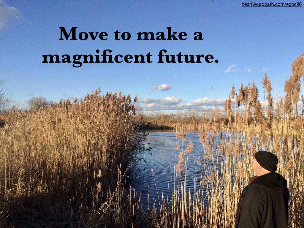 picture-don-pierce-life-coach-saying-Move to make a magnificent future