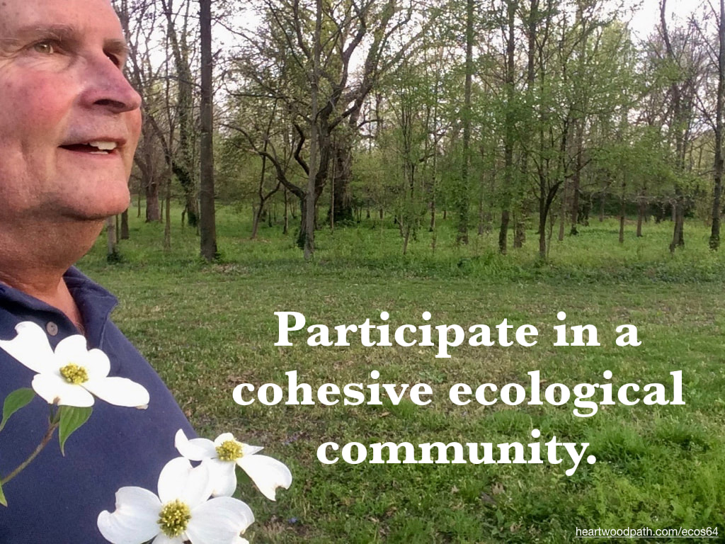 picture-don-pierce-life-coach-saying-Participate in a cohesive ecological community