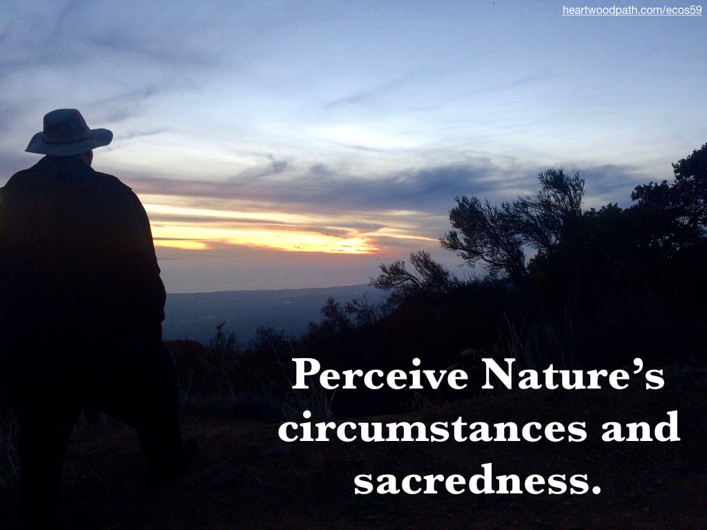 picture-don-pierce-life-coach-saying-Perceive Nature’s circumstances and sacredness