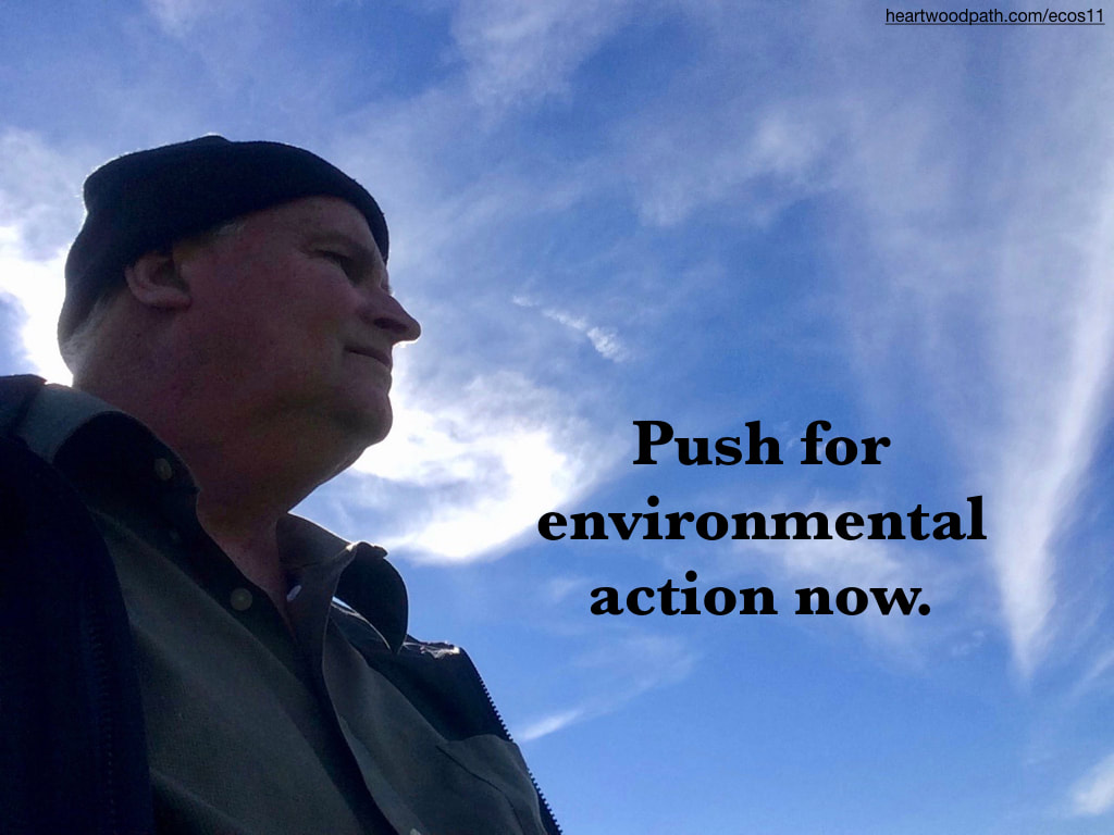 picture-don-pierce-life-coach-saying-Push for environmental action now
