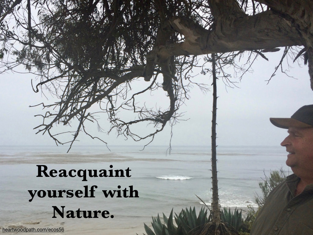 picture-don-pierce-life-coach-saying-Reacquaint yourself with Nature