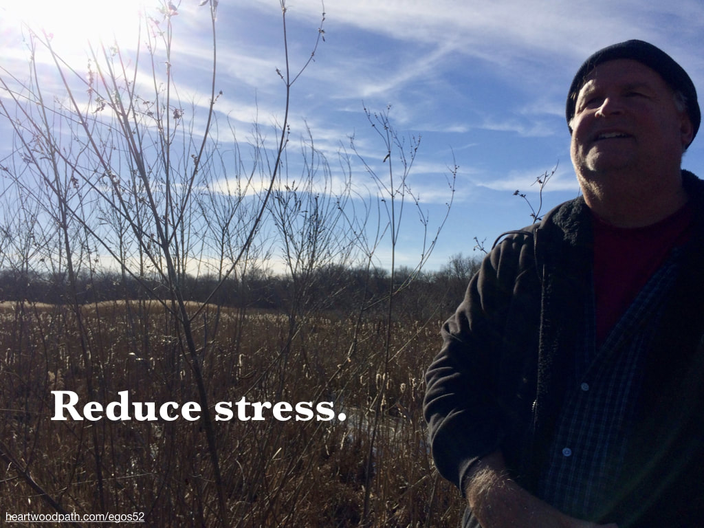  picture-don-pierce-life-coach-saying-Reduce stress