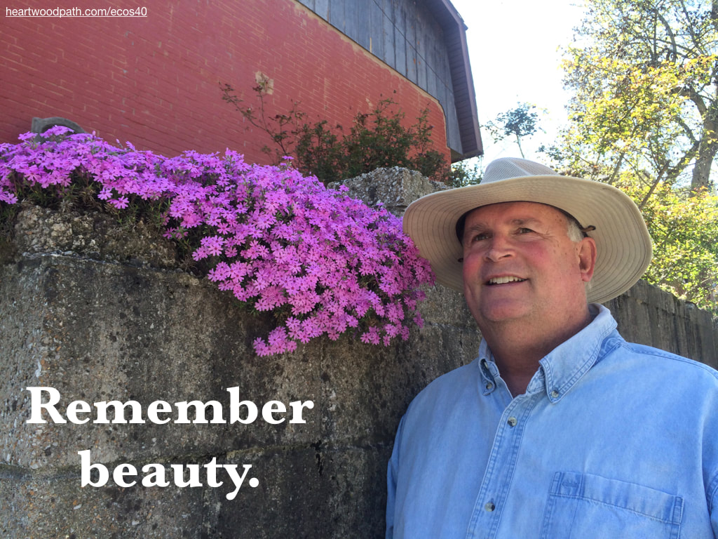 picture-don-pierce-life-coach-saying-Remember beauty