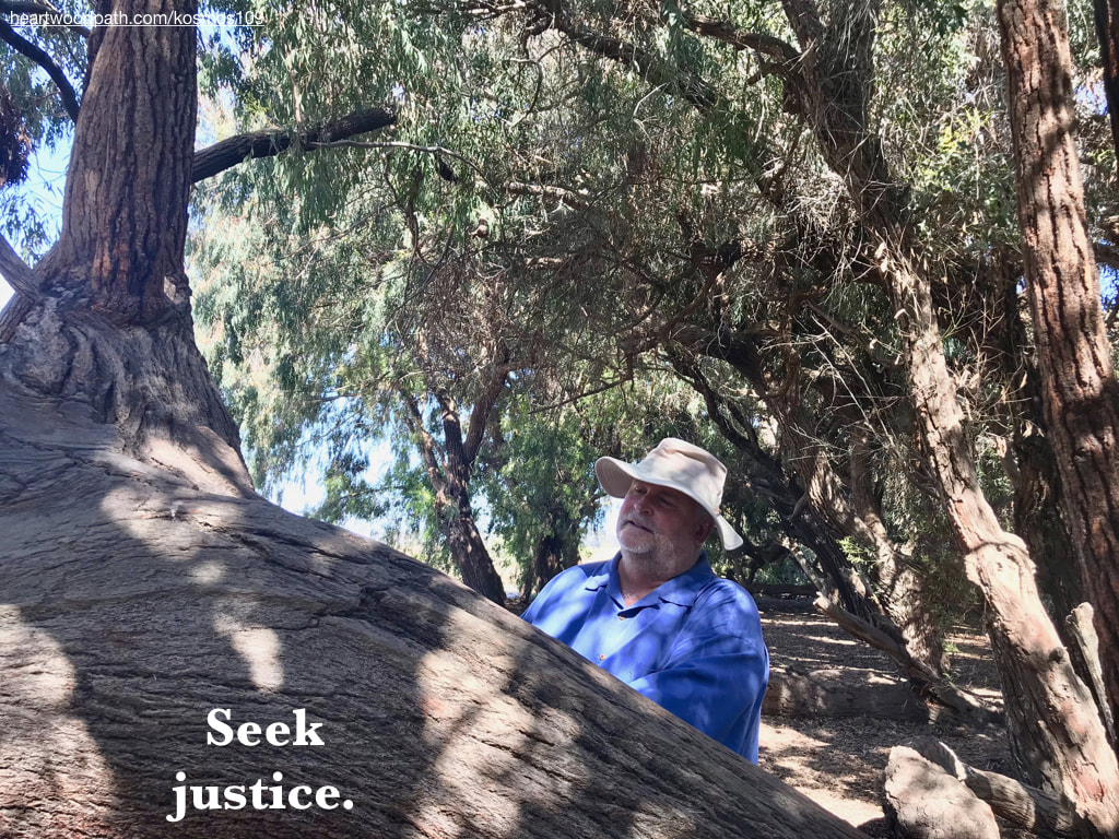 picture-life-coach-don-pierce-saying-Seek justice