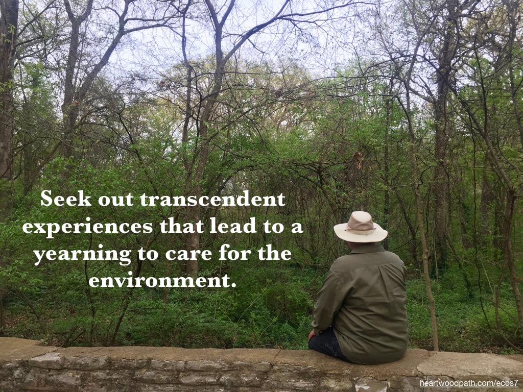 picture-don-pierce-life-coach-saying-Seek out transcendent experiences that lead to a yearning to care for the environment