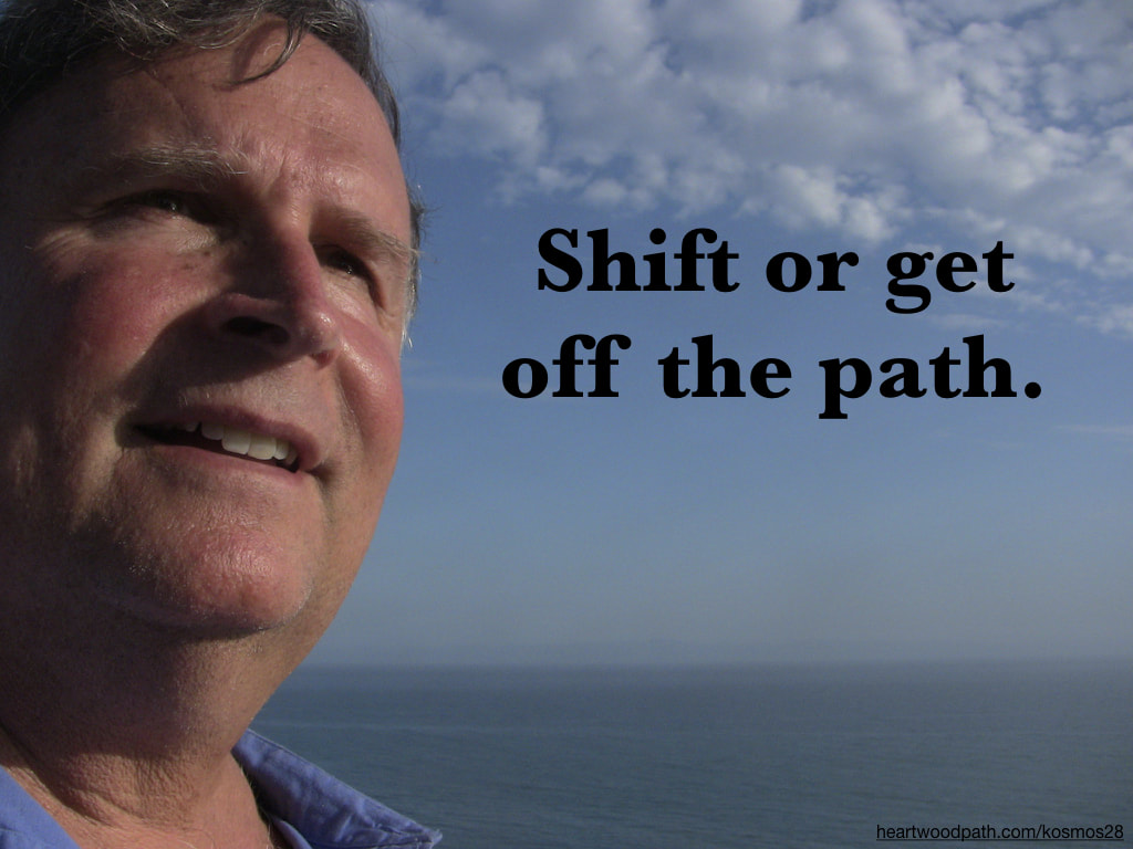 picture-of-life-coach-don-pierce-saying-Shift or get off the path