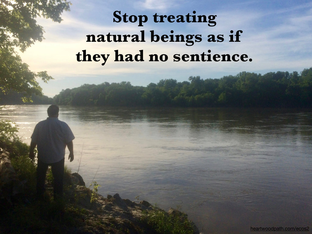 picture-don-pierce-life-coach-saying-Stop treating natural beings as if they had no sentience