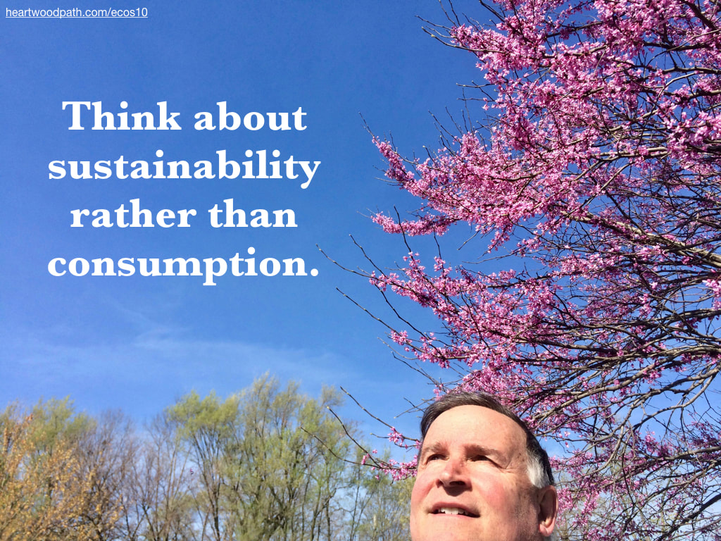 picture-don-pierce-life-coach-saying-Think about sustainability rather than consumption