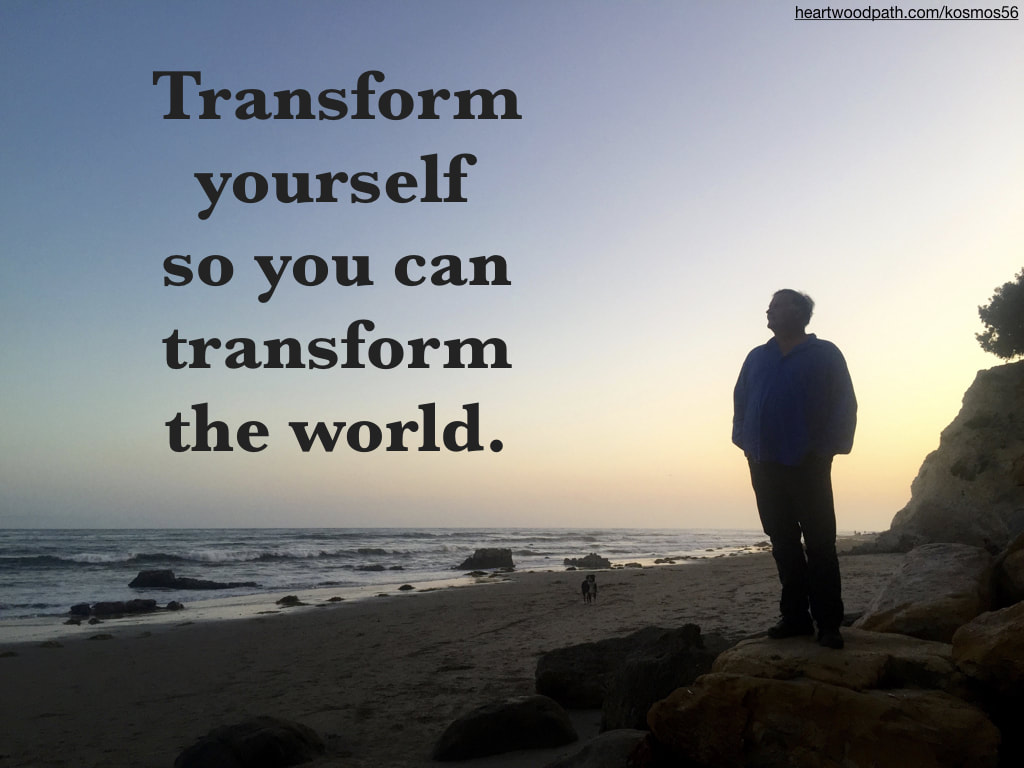 picture-of-life-coach-don-pierce-saying-Transform yourself so you can transform the world