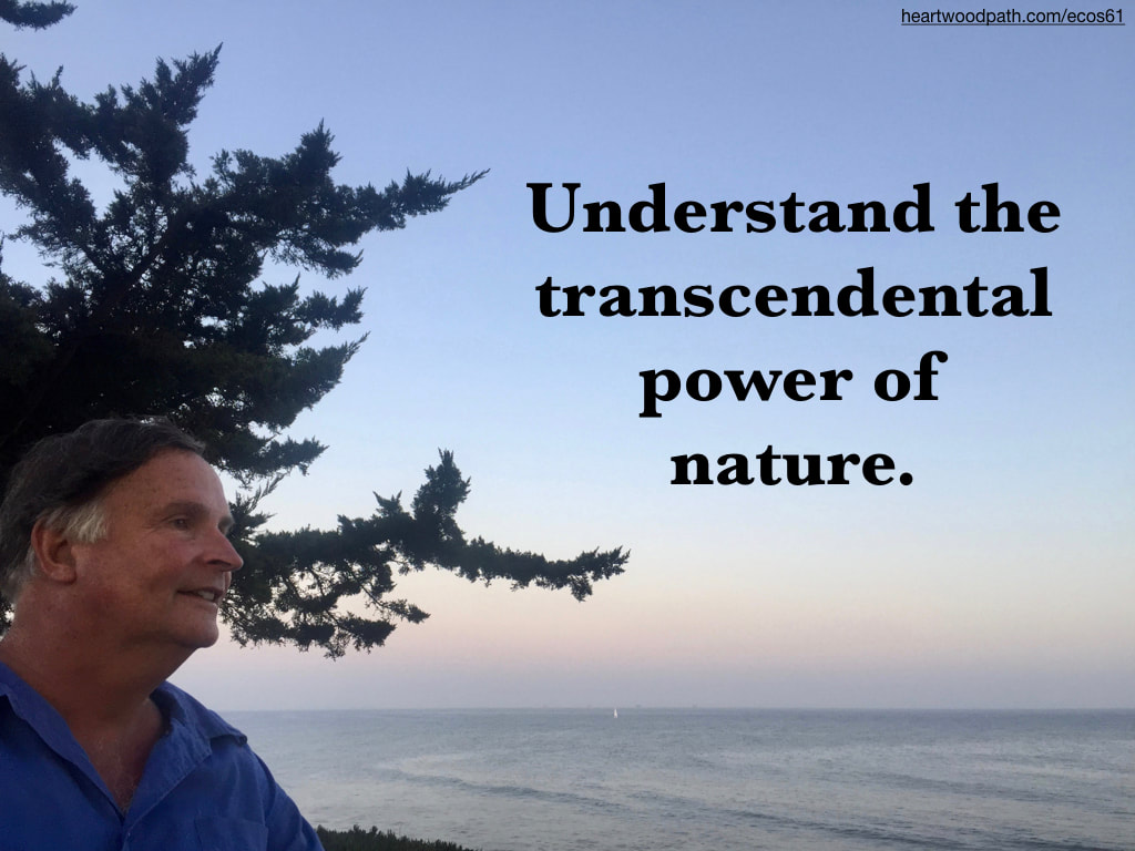 picture-don-pierce-life-coach-saying-Understand the transcendental power of nature