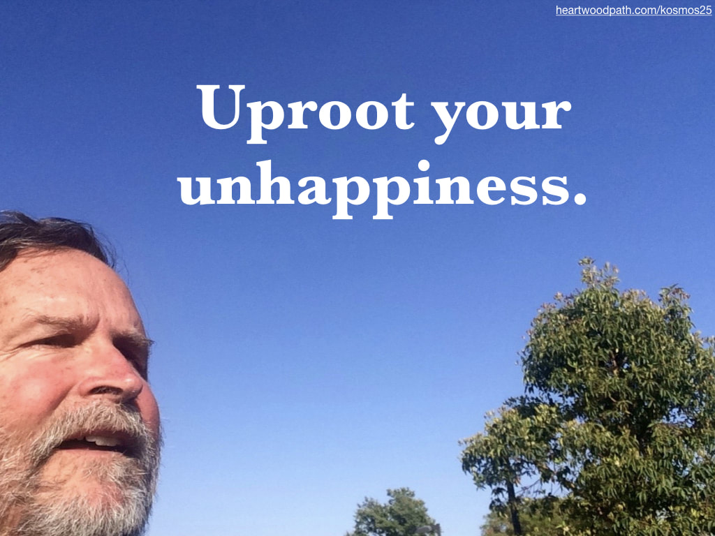 picture-of-life-coach-don-pierce-saying-Uproot your unhappiness