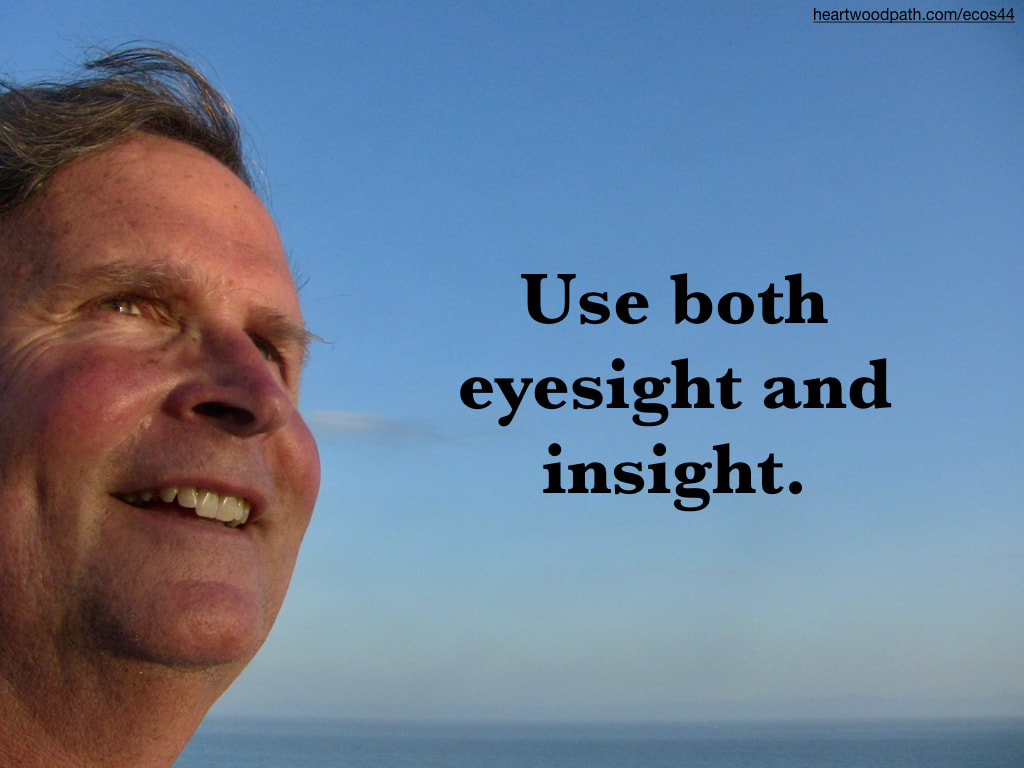 picture-don-pierce-life-coach-saying-Use both eyesight and insight