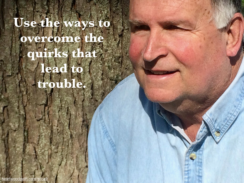 picture-don-pierce-life-coach-saying-Use the ways to overcome the quirks that lead to trouble