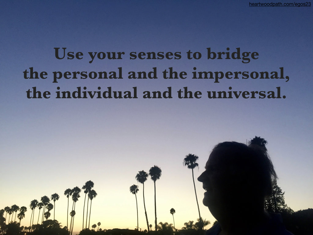 picture-life-coach-don-pierce-saying-Use your senses to bridge the personal and the impersonal, the individual and the universal