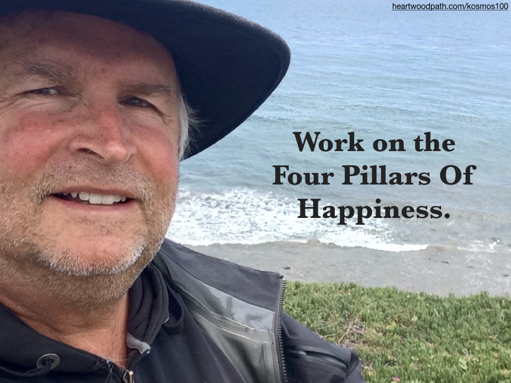 picture-life-coach-don-pierce-saying-Work on the Four Pillars Of Happiness