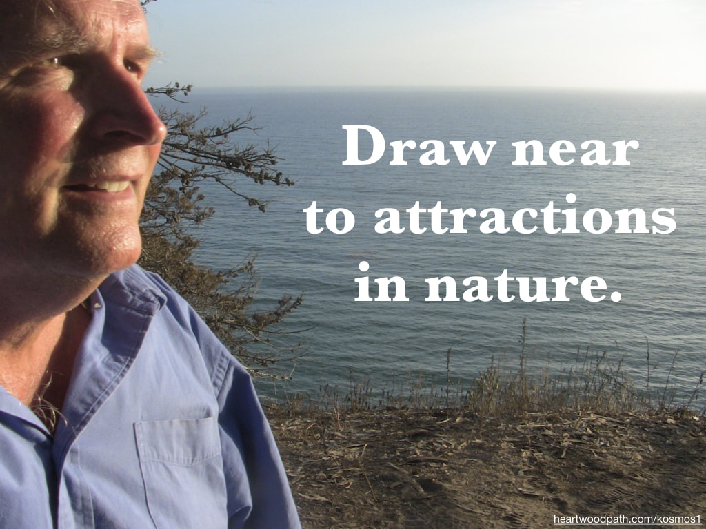 life coach don pierce quote Draw near to attractions in nature