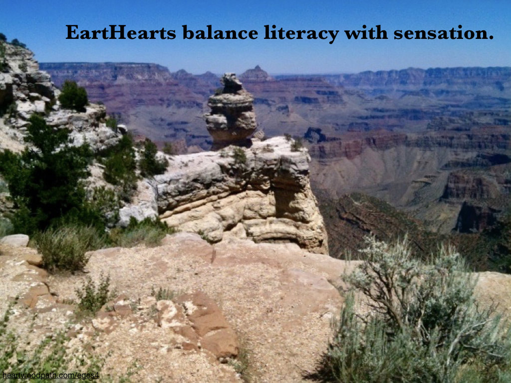 Picture grand canyon quote EartHearts balance literacy with sensation