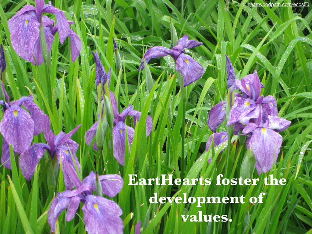 Picture purple flowers due grasses quote EartHearts foster the development of values
