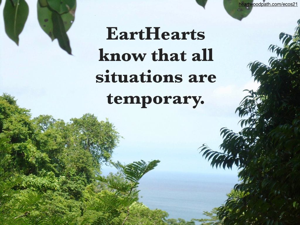 Picture from rainforest canopy trees ocean quote EartHearts know that all situations are temporary