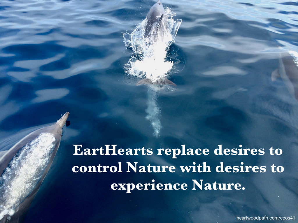 Picture dolphins jumping ocean quote EartHearts replace desires to control Nature with desires to experience Nature