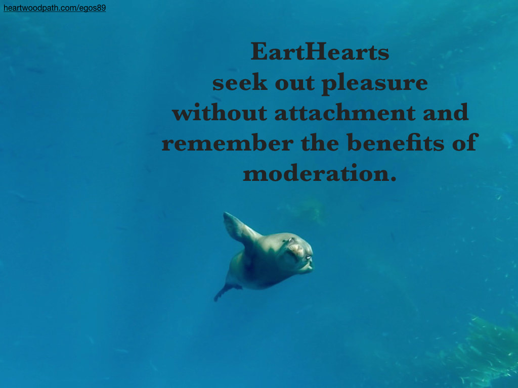 picture sea lion underwater quote EartHearts seek out pleasure without attachment and remember the benefits of moderation