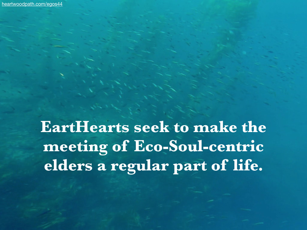 Picture fish quote EartHearts seek to make the meeting of Eco-Soul-centric elders a regular part of life